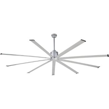 3. BiGizmos Indoor and Outdoor Ceiling Fan